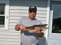 Steve Watson