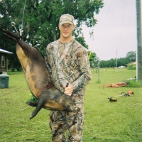 Hog