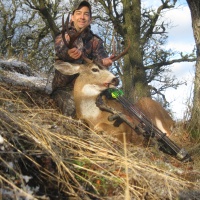Deer
