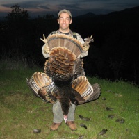 Turkey