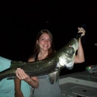 Snook