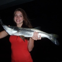 Snook