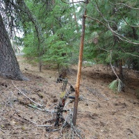 Oregon Bow Hunt