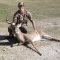 170lb main frame 10 split brow tines, 12 point